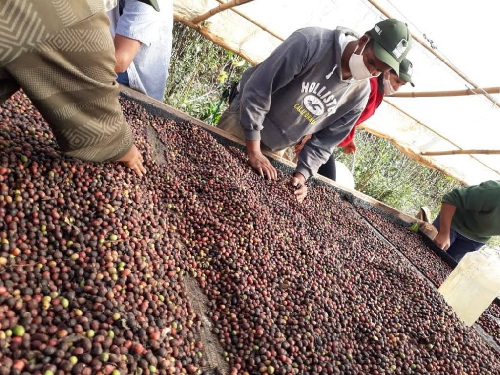 café fazenda Espera Feliz