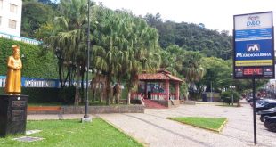 Manhumirim centro