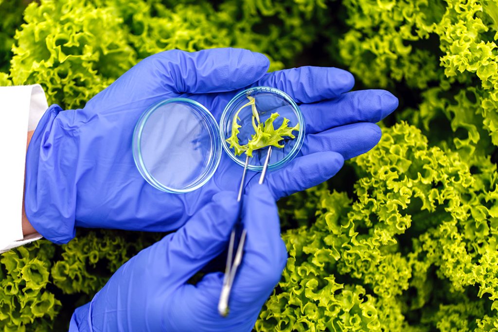 bioinsumos