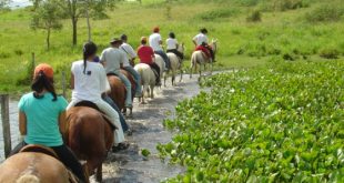 turismo rural cavalos cavalgada
