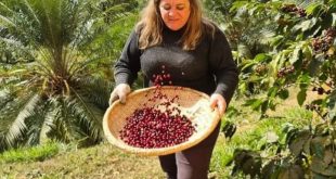 Cafeicultora Araponga Simone Sampaio vencedora