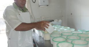 queijo minas artesanal curso