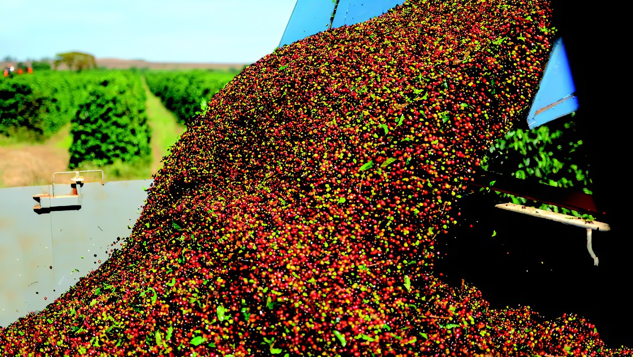 Agro mineiro movimentou R$ 120 bilhões – Cidades do Café