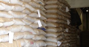 Fertilizantes: veja por que demanda deve recuar no Brasil