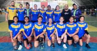 Saltimbancos Handebol