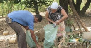 Prevenção dengue meio rural