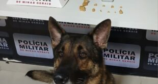 PM apreensao cemiterio Manhuaçu