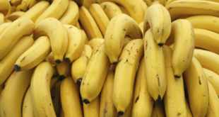bananas