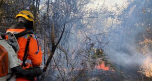 Incendio Vegetacao Manhuacu Bombeiros