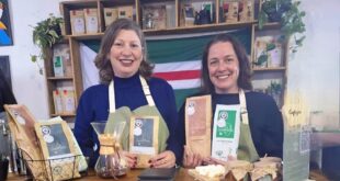 capa sempre-vivas Espera Feliz