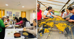 cafeicultoras capixabas