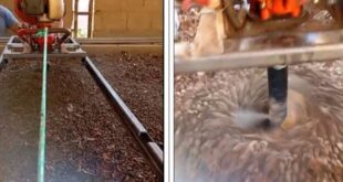 secador cafe tipo barcaça