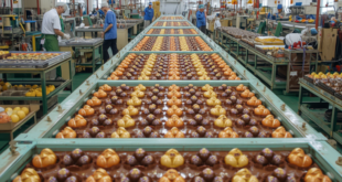 Cacau ovos de páscoa